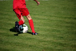 爱游戏中国官方登录入口网站-冬奥场馆智能系统协助运动员热身训练，冬奥会设备